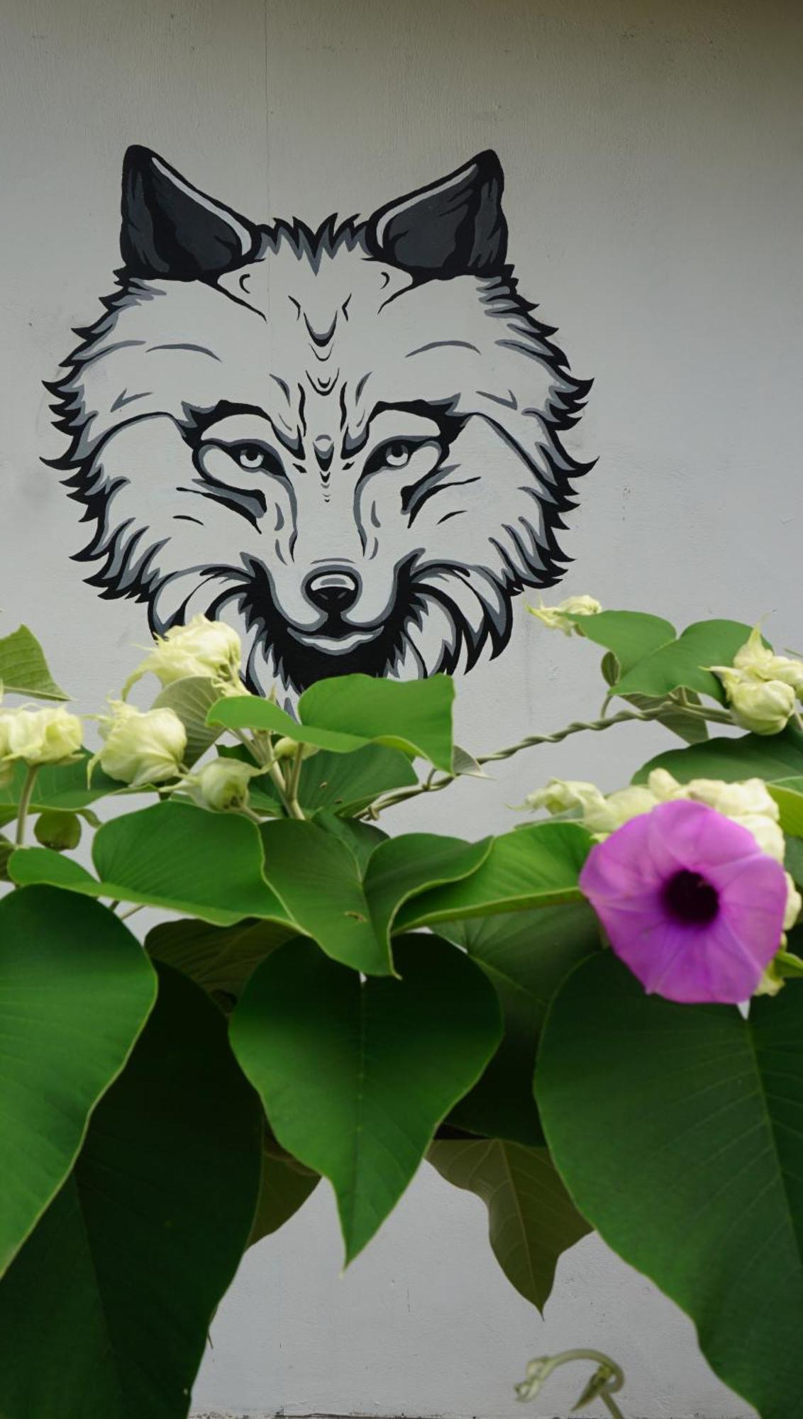 House Of Wolves Hostel 판타이체낭 외부 사진