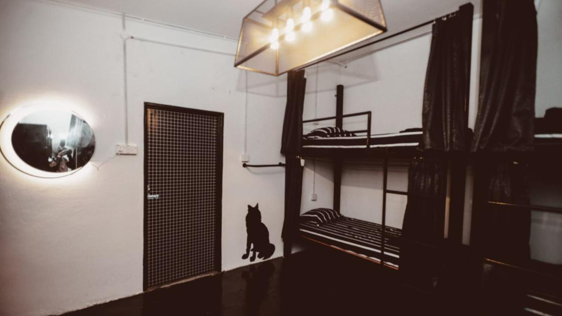 House Of Wolves Hostel 판타이체낭 외부 사진